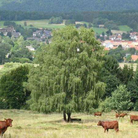 Fewo Hage Langelsheim Exterior photo